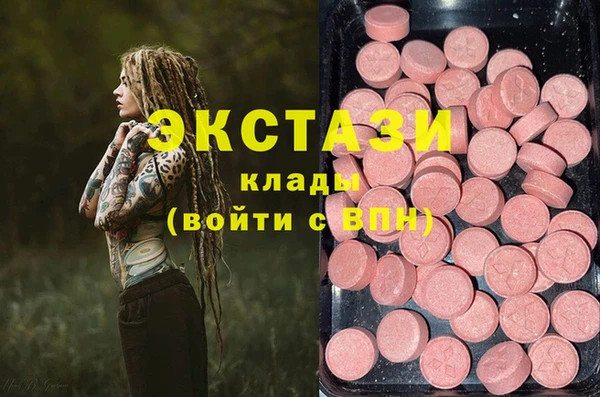 индика Бородино