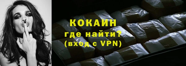 индика Бородино