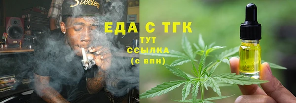 индика Бородино