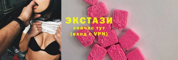 индика Бородино