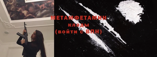 индика Бородино
