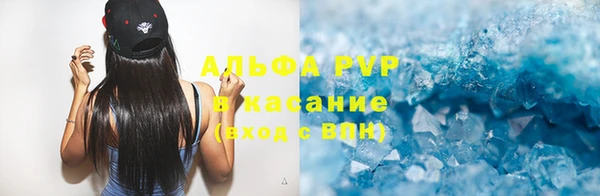 индика Бородино