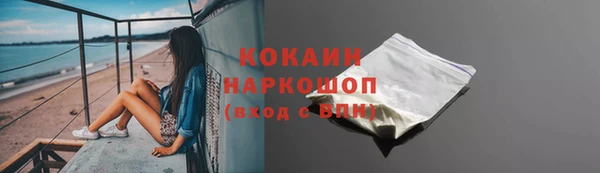 индика Бородино