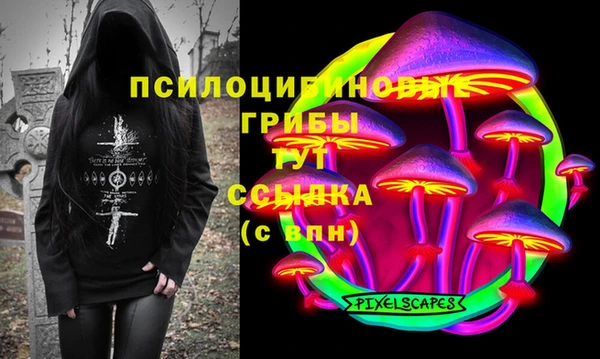 индика Бородино