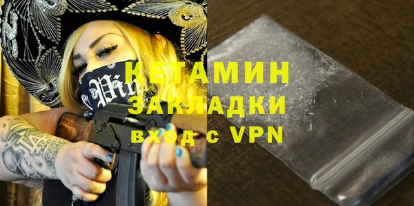 индика Бородино