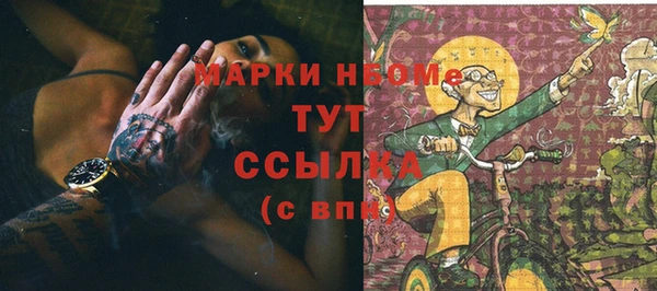индика Бородино