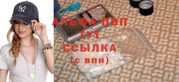 индика Бородино