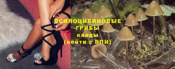 ПСИЛОЦИБИНОВЫЕ ГРИБЫ Бугульма