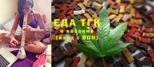 индика Бородино