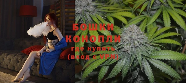 ПСИЛОЦИБИНОВЫЕ ГРИБЫ Бугульма