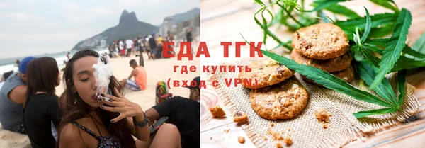индика Бородино