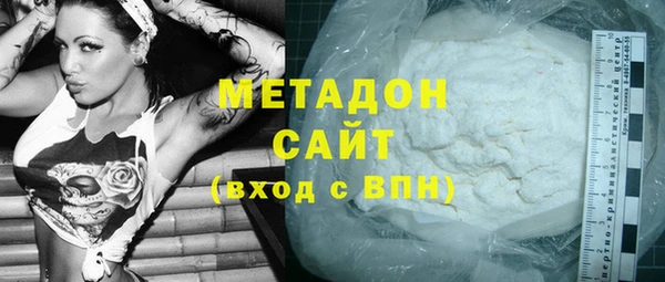 индика Бородино