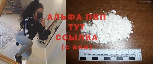 индика Бородино