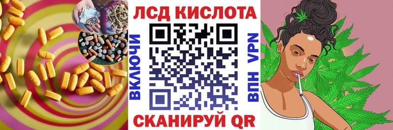 Купить закладки  Ковылкино  Лсд 25 экстази ecstasy 