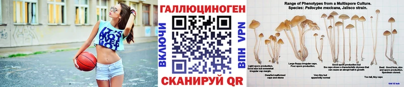 Псилоцибиновые грибы прущие грибы  Купить  Ковылкино 