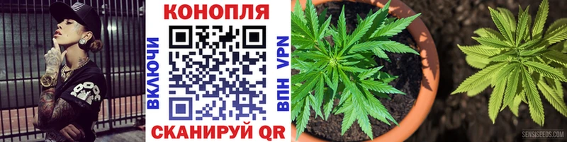 Бошки марихуана Ganja  Купить  Ковылкино 